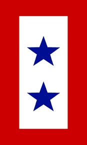 Service Flag - 2 stars